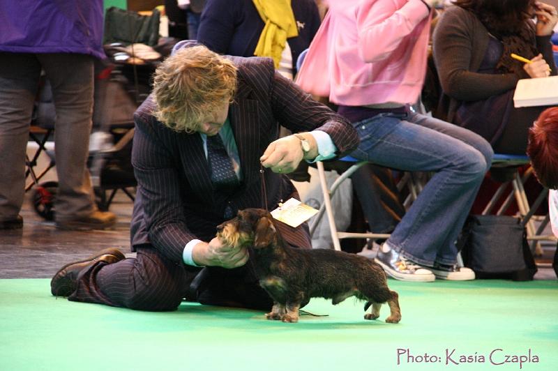 Crufts2011_2 541.jpg